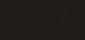 3100 Jet Black Quartz Countertop