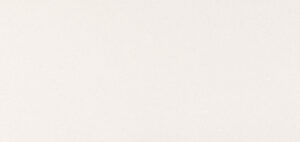 4600 Organic White Quartz Countertop