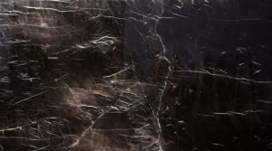 Alexandria Black Marble